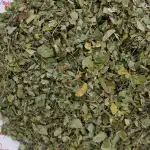 Moringa Leaves Cultivated | Moringa Oleifera | Drumstick Tree Leaves | Shevga| Mashinga