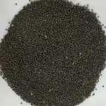 Satyanashi Beej | Dhatura Seeds Black | Argemone Mexicana Seeds | Dhatura Metel