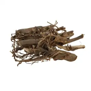 Kapas Roots | Cotton Roots | Gossypium Herbaceum Roots | Wild Cotton Roots
