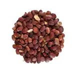 Karanjwa Seeds | Lata Karanja | Sagarhota | Kalavzikai | Caesalpinia Christa | Fever Nut | Karanjwa Beej
