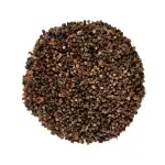 Makoy Dana | Mokoi | Makoya Dana | Solanum Nigrum Seeds | Piludi Hindi | Kamoni Oriya | Manitakkali