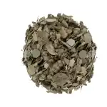 Moringa Leaves Wild Origin| Moringa Oleifera | Drumstick Tree Leaves | Shevga | Mashinga