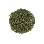 Stevia Leaves | Stevia Rebaudiana