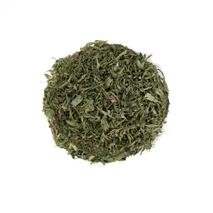 Stevia Leaves | Stevia Rebaudiana