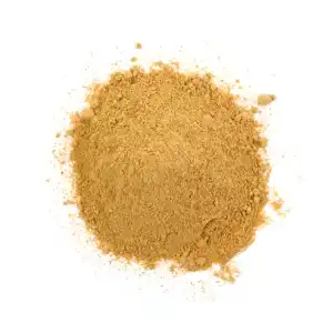 Aamgiri Powder | Mango Seeds Kernel Powder | Aam Magaj Powder | Aamguthli Powder | Mangifera Indica Powder