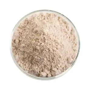 Atibala Powder | Hairy Indian Mallow Powder | Abutilon Indicum