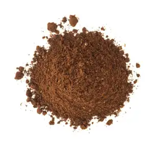 Bharangi Powder | Blue Fountain Bush | Bharangee Powder | Rotheca Serrata Powder | Akhandi Powder