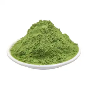 Mint Leaves Powder | Pudhina | Mentha Leaves Powder | Pudina Leaves | Peppermint | Mentha X Piperita | Vilayati Pudina
