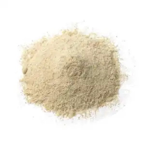 Shatavari Roots White Powder | Asparagus Racemosus | Shatawar Roots White Powder