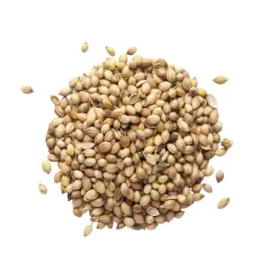 Dhaniya Whole | Coriander Seeds | Whole Dhaniya Seeds | Dhaniya Seeds | Sabut Dhaniya