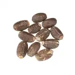 Ratanjot Seeds | Jatropha Seeds | Barbados Nuts | Jatropa Curcas | Bio Diesel | Bio Fuel Tree Seeds