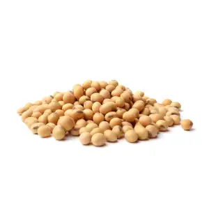 Soyabean Seeds | Glycine Max