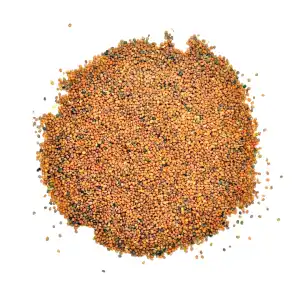 Taramira Seeds | Eruca Vesicaria Subsp Sativa | Sarishapa