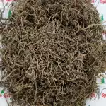 Brahmi Bacopa Whole Plant Dry | Bacopa Monnieri | Nir Brahmi | Jal Brahmi