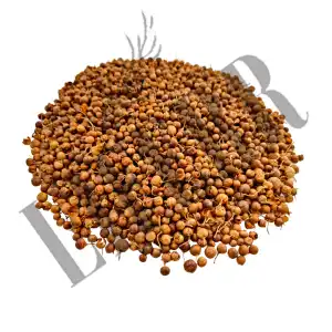 Henna Seeds | Marudhani Seeds | Lawsonia Inermis Seeds | Mehendi Beej