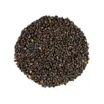 Kala Dana Seeds | Shyam Beeja | Ipomoea Hederacea | Kaladana Seeds