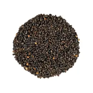 Kala Dana Seeds | Shyam Beeja | Ipomoea Hederacea | Kaladana Seeds