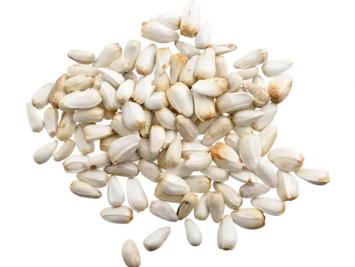 Safflower Seeds (Carthamus tinctorius) &ndash; Benefits, Uses, Nutrition & Side Effects | Sinhal Herbs