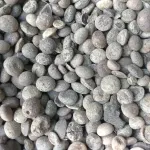 Nirmali Seeds | Blackish Quality | Strychnos Potatorum | Katak Seeds | Chikni Supari 