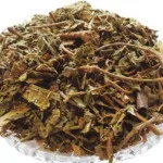 Gudmar Panchang | Gudmar Whole Plant