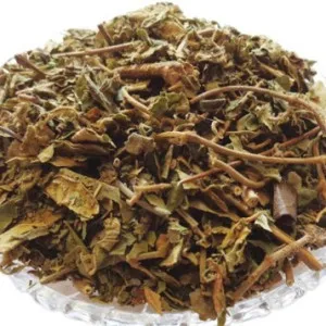 Gudmar Panchang | Gudmar Whole Plant