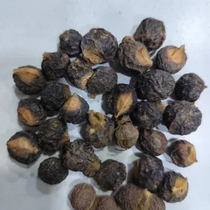 Reetha Sabut Big| Soap Nuts | Reetha Whole Big | Sapindus Mukorossi