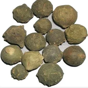 Majufal | Mazuphal | Gall Nuts | Oak Galls | Quercus infectoria