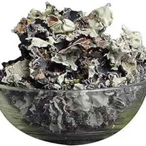 Chadila | Stone Flower | Jhau