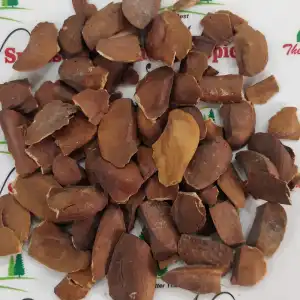 Sugar Badam | Mahogany Seeds