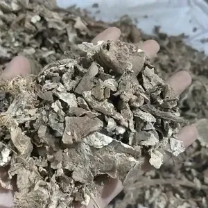 Vidarikand Chips Quality | Vidarikand Chips | Patalkumda| Pueraria Tuberosa