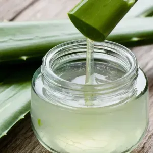 Aloe Vera Gel | Gheekumarigel | Ghyu Kumaarigel