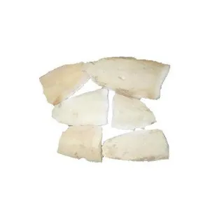 Samudrafen | Samundrafan | Cuttle Fish Bone | Broken Quality