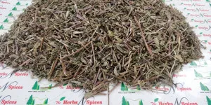 Pudhina Panchang | Common Mint | Spearmint Panchang