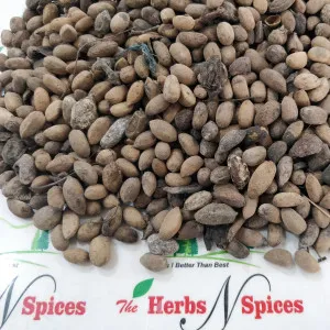 Neem Seeds | Neem Beej |  Nim Guthli |  Azadirachta indica