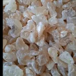 Gond Katira (Astragalus gummifer) – Tragacanth Gum