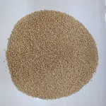 Quinoa Seeds Bold Quality | Ready To Eat | Processed | Chenopodium Quinoa