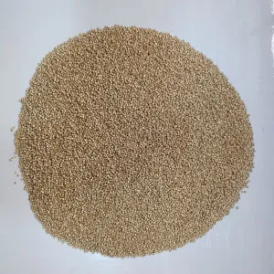 Quinoa Seeds Bold Quality | Ready To Eat | Processed | Chenopodium Quinoa