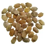 Karela Beej (Momordica charantia) – Bitter Gourd Seeds