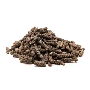 Lindi Pipal | Pippali | Long Pepper | Piper Longum | Pipli | Pimpli | Magadhi