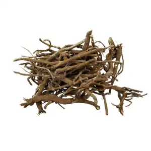 Punarnava Roots | Satodi | Boerhavia Diffusa | Red Hogweed