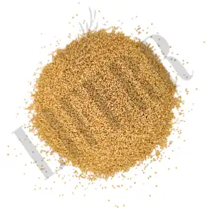Quinoa Seeds | Ready To Eat | Processed | Chenopodium Quinoa