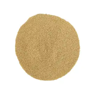 Rajgira | Amaranth | Ramdana