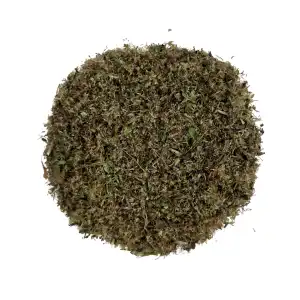 Stevia Seeds | Stevia Rebaudiana Seeds | Grow Stevia At Your Home