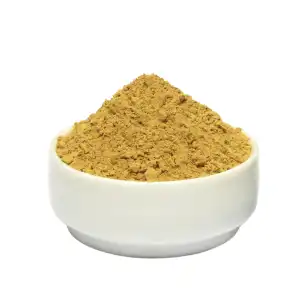 Cassia Tora Powder | Chakramarda | Fuwad Seeds Powder | Panwar Seeds Powder | Chakvat | Senna Tora Powder