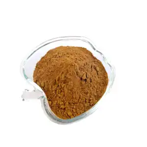 Coleus Roots Powder | Coleus Barbatus Plectranthus Forskohlii | Patharchur | Pashan Bhedi | Makandi