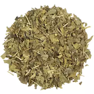 Gingko Biloba