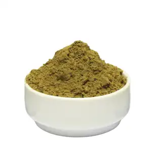 Pashan Bhed Powder | Patharchoor | Pashanbheda | Bergenia Ligulata | Kachalu | Pasanbhedi