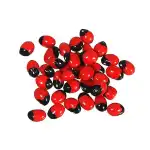 Gunja Seeds Red | Ratti Chanoti Red | Rosary Pea | Abrus Precatorius | Chirmithi | Ghunghchi