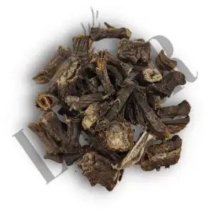 Burdock Roots | Greater Burdock | Arctium Lappa | Bardana | Kurya