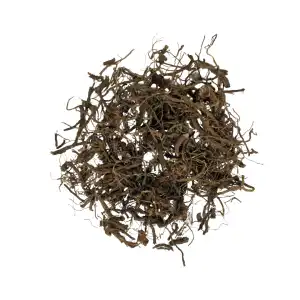 Coleus Roots | Coleus Barbatus Plectranthus Forskohli | Patharchur | Pashan Bhedi | Makandi